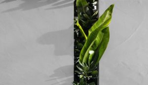 landmade (20)